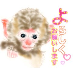 [LINEスタンプ] We♡Zooスタンプ