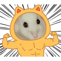 [LINEスタンプ] もぐちゃんだぞぉ〜