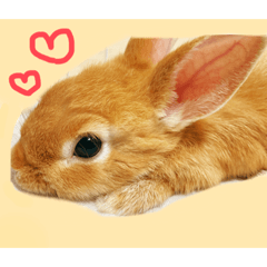 [LINEスタンプ] むぎとゆかいな仲間たち！