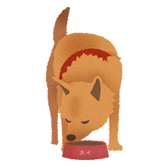 [LINEスタンプ] 甲斐犬カイの日常スタンプ