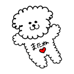 [LINEスタンプ] ビションフリーゼスタンプです♡