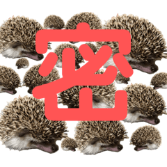 [LINEスタンプ] ハリネズミうぶぅの今しか使えないスタンプ