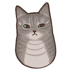 [LINEスタンプ] いとしい猫