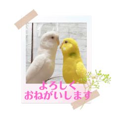 [LINEスタンプ] きなこ、ずんだご挨拶スタンプ