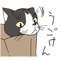 [LINEスタンプ] うちにゃんたち