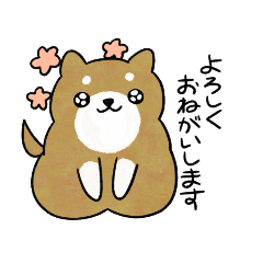 [LINEスタンプ] かわいい柴犬♥️「日常的」スタンプ