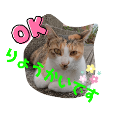 [LINEスタンプ] みんな集まれ3