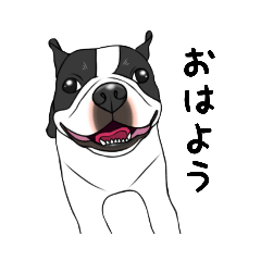 [LINEスタンプ] ボステリまさ