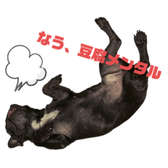 [LINEスタンプ] フレブルブン太の日常1