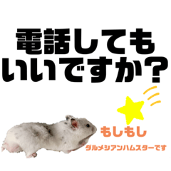 [LINEスタンプ] ハムスター 日常編4