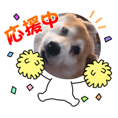 [LINEスタンプ] もみじのおかん3