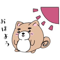 [LINEスタンプ] 柴まるくん