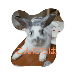 [LINEスタンプ] メルさんの日常あいさつ