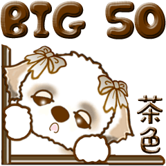 [LINEスタンプ] 【Big】シーズー犬 50『茶色』の画像（メイン）