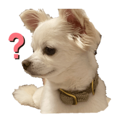[LINEスタンプ] ななちょ