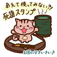 [LINEスタンプ] 今あえて使いたい‼子りす君の死語スタンプ