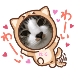 [LINEスタンプ] 春＆櫻 3