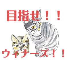 [LINEスタンプ] プライム会員猫さん犬さん連絡会話