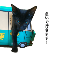 [LINEスタンプ] ネコのろくとさく。