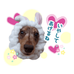 [LINEスタンプ] ミニチュアダックス 癒やしの日常会話
