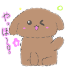 [LINEスタンプ] トイプードルのもこちゃん！