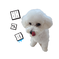 [LINEスタンプ] ソミ＆