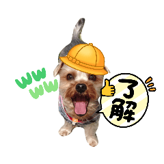 [LINEスタンプ] 外山家の愉快な仲間たち Ⅴ