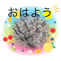[LINEスタンプ] 桜のスタンプだよ4