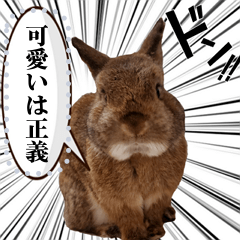 [LINEスタンプ] うさぎのマール(写真)2