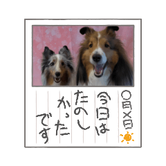 [LINEスタンプ] アムテラ 2