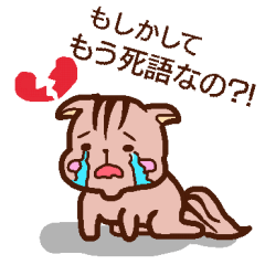 [LINEスタンプ] もう古い！？子りす君の『死語かも』スタンプ