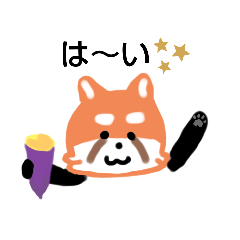 [LINEスタンプ] レッサーパンダさんがいっしょだよ