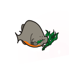 [LINEスタンプ] ピラニアです。多分。