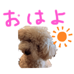 [LINEスタンプ] 夜叉丸②