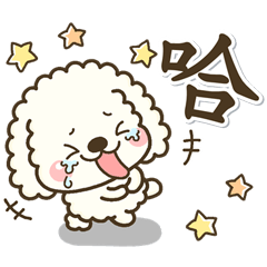 [LINEスタンプ] 大人超可愛♡白Q毛小貴賓 每天貼圖