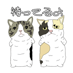 [LINEスタンプ] とある家の猫たち