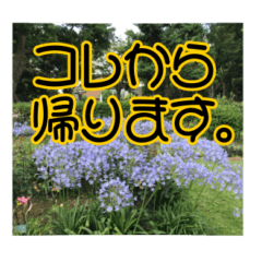 [LINEスタンプ] いつも使える言葉達 (1)