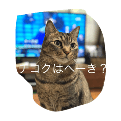 [LINEスタンプ] うにゃこ