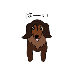 [LINEスタンプ] カニンヘンダックスフンドのさくらちゃん