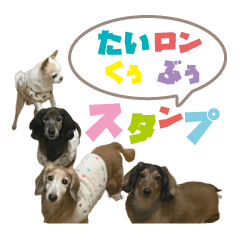 [LINEスタンプ] たいロンくぅぶぅの日常スタンプ