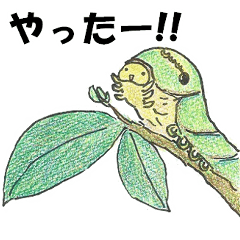 [LINEスタンプ] アゲハ幼虫の日常