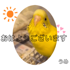 [LINEスタンプ] うめちゃんのきまぐれスタンプ