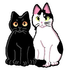 [LINEスタンプ] うちの白黒猫と黒猫