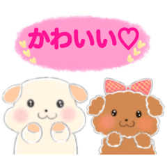 [LINEスタンプ] 犬のまめ ほんわか日常スタンプ