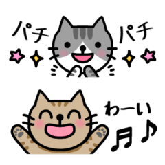 [LINEスタンプ] 省スペースな猫たちの日常