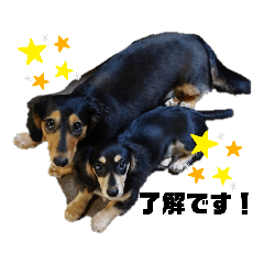 [LINEスタンプ] こてつ＆さく