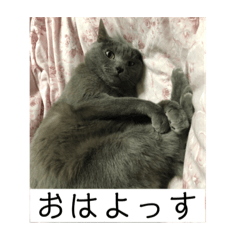 [LINEスタンプ] 山形弁のココアです