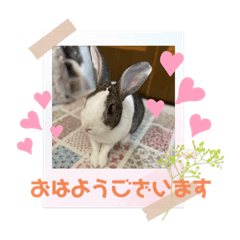[LINEスタンプ] KOKOᗩ ᕼᗩᑭᑭY ᕼOᑌᖇ☺︎︎