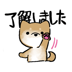 [LINEスタンプ] 思いを伝える和柴犬