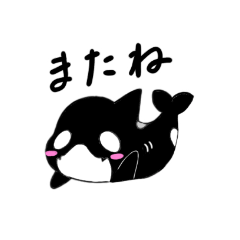 [LINEスタンプ] シャチのしゃっちゃん♡